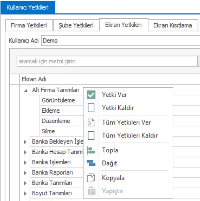 Noyasis Ticari Kullanıcı Tanımları ve Yetkilendirme