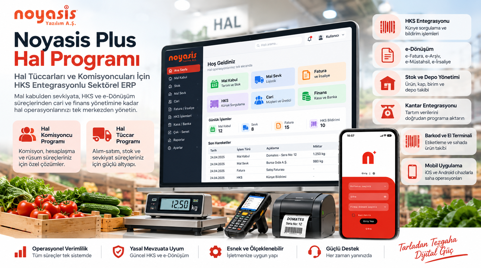 Noyasis Plus Hal Programı
